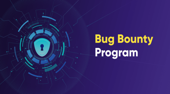 Collaboration and Cooperation in Blockchain Bug Bounty Programs